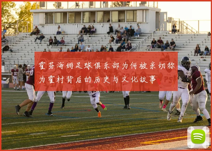 霍芬海姆足球俱乐部为何被亲切称为霍村背后的历史与文化故事